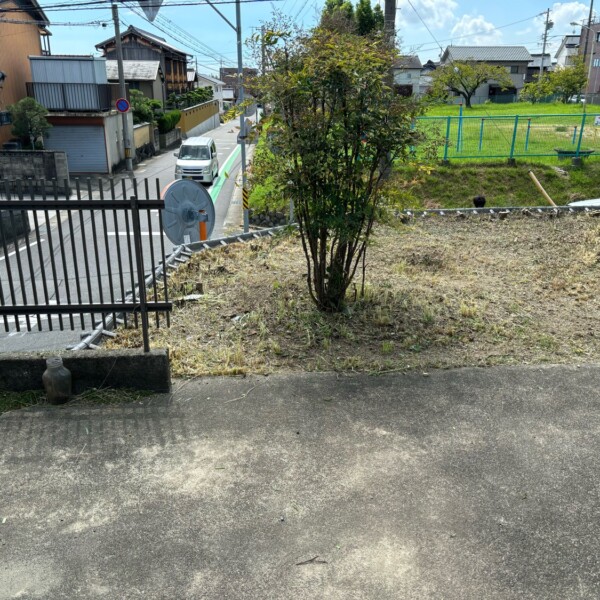 草刈り後